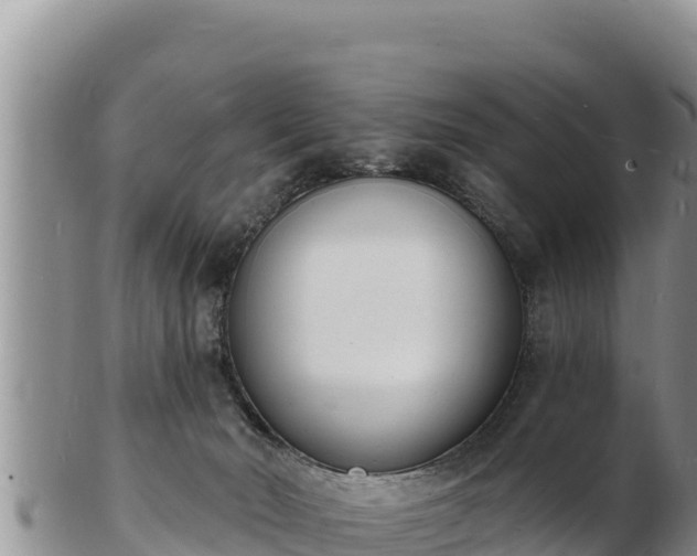 X0000103300030200809051533