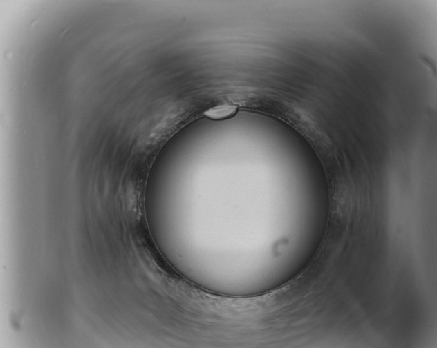 X0000103300031200809051532