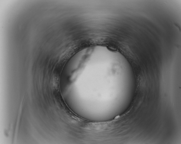 X0000103300033200809051532