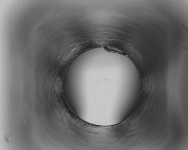 X0000103300036200809051532