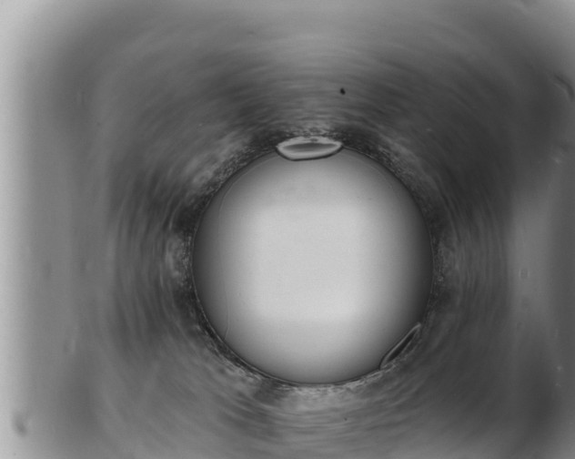 X0000103300037200809051532