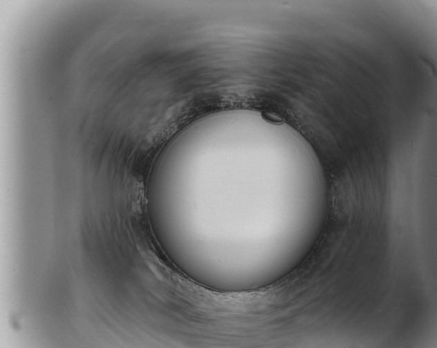 X0000103300038200809051532