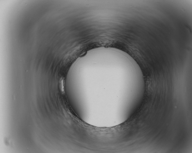 X0000103300042200809051532