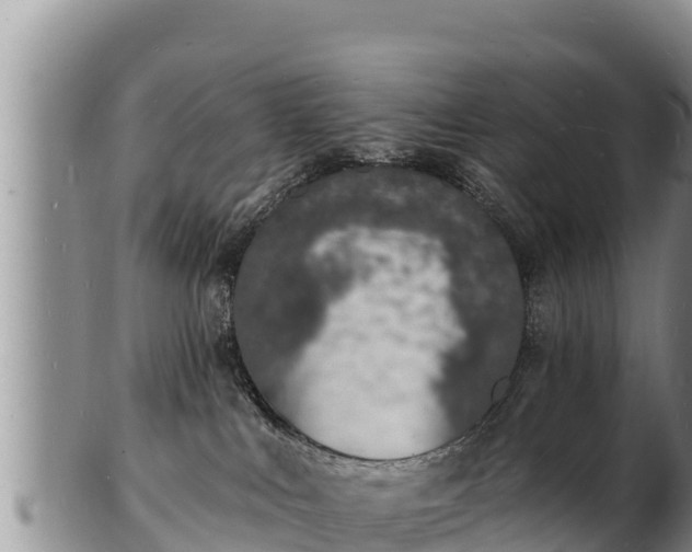 X0000103300043200809051532