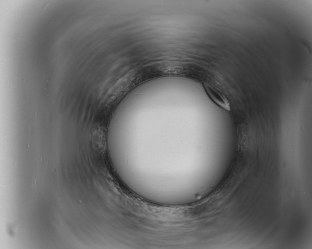 X0000103300044200809051532