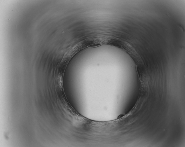 X0000103300045200809051532