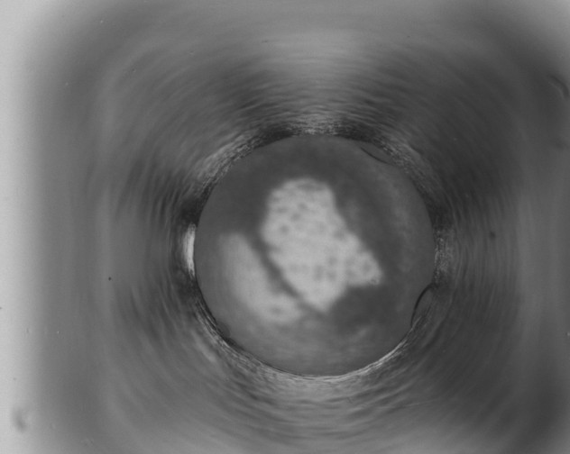 X0000103300047200809051532