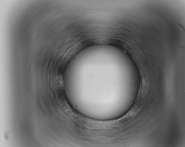 X0000103300048200809051532