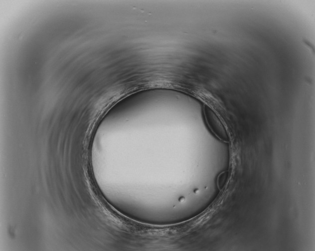 X0000103300049200809051532