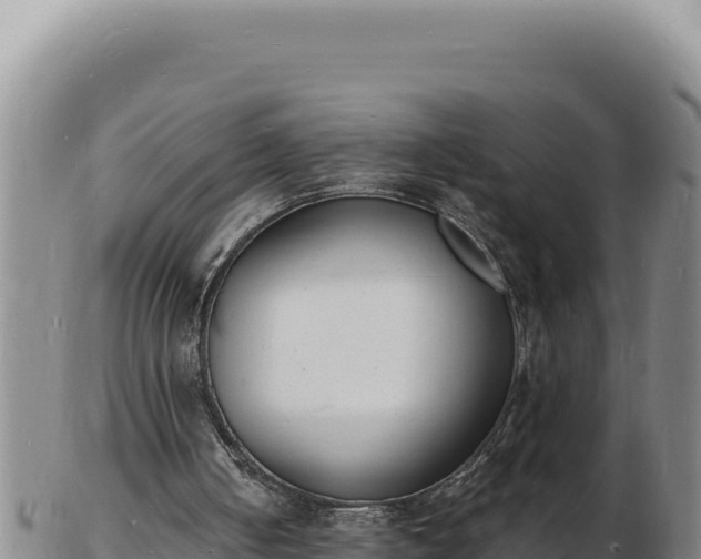 X0000103300050200809051532