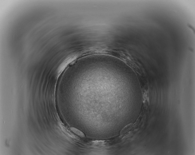 X0000103300052200809051532