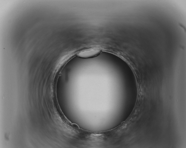 X0000103300055200809051532