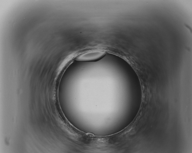 X0000103300056200809051532