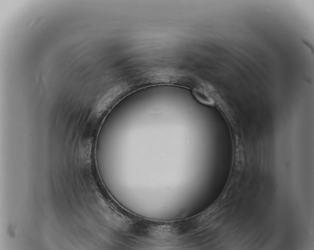 X0000103300058200809051532