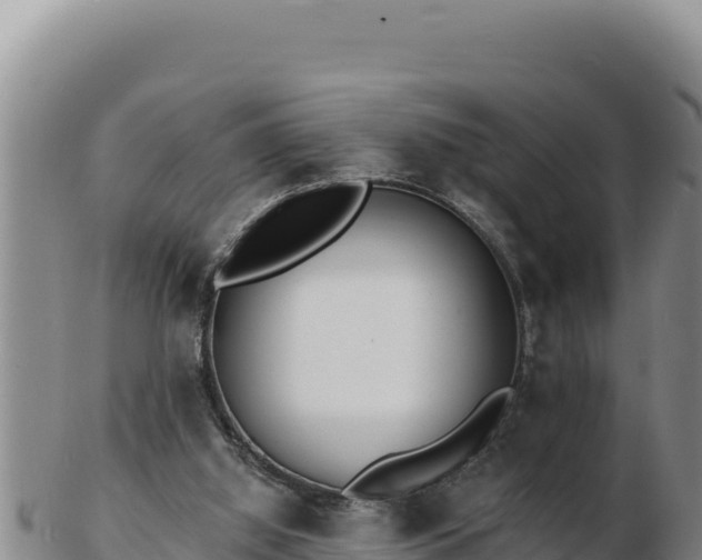 X0000103300060200809051532