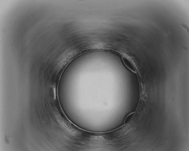 X0000103300061200809051532