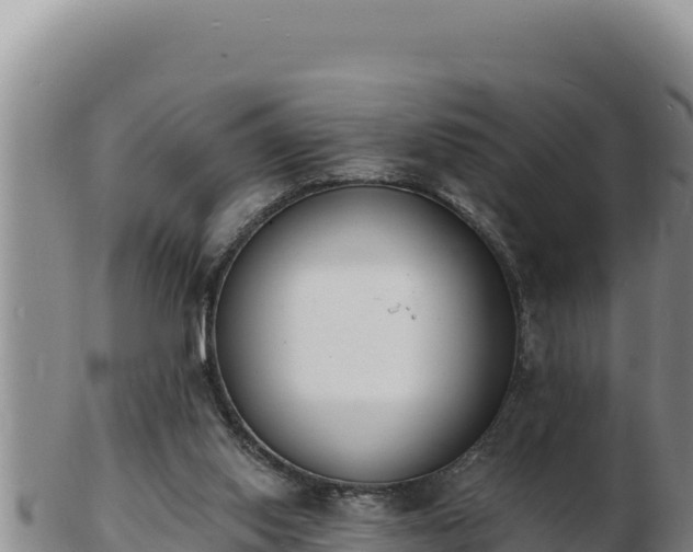 X0000103300062200809051532