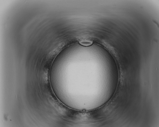 X0000103300065200809051532