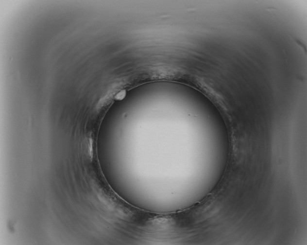 X0000103300067200809051532