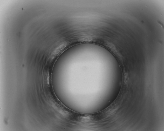 X0000103300068200809051532