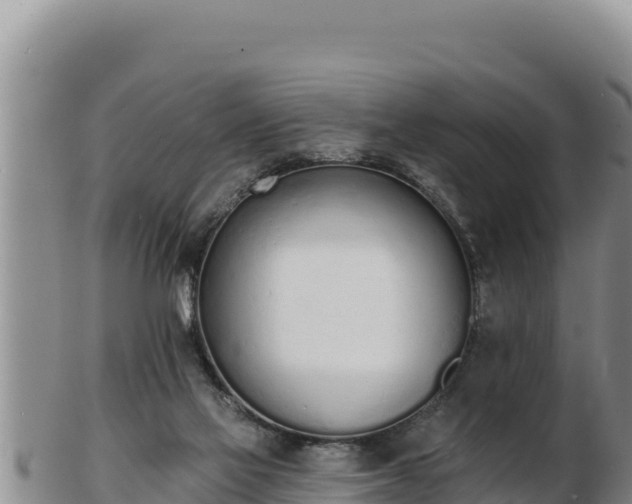 X0000103300069200809051532