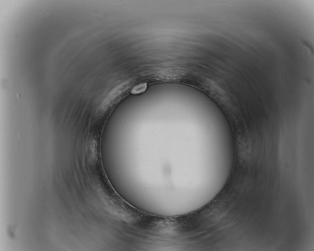 X0000103300071200809051532