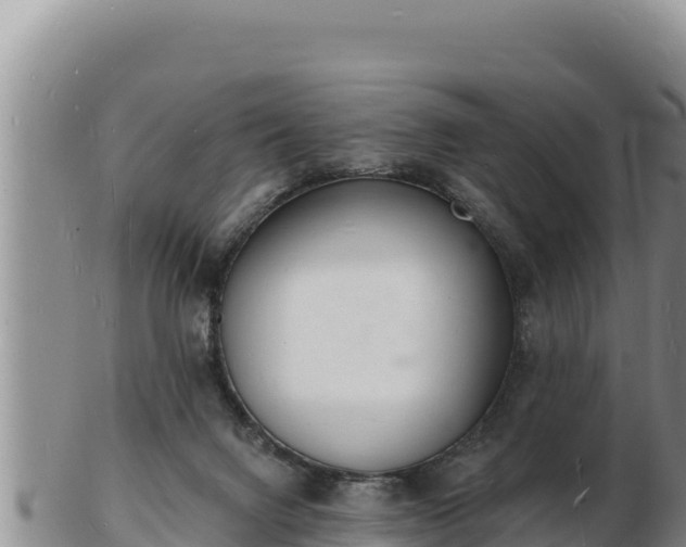 X0000103300072200809051532