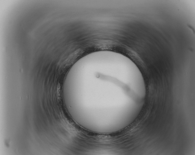 X0000103300073200809051532