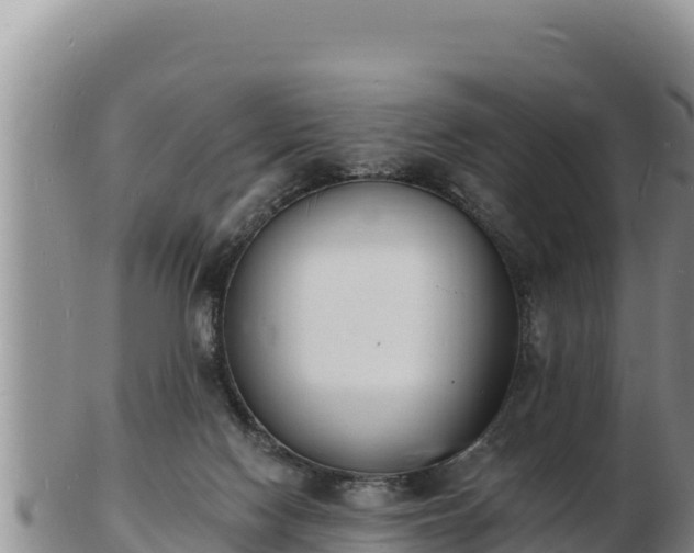 X0000103300074200809051532