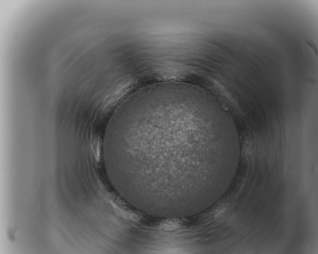 X0000103300076200809051532