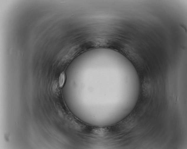 X0000103300079200809051532