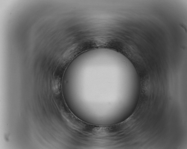 X0000103300082200809051532