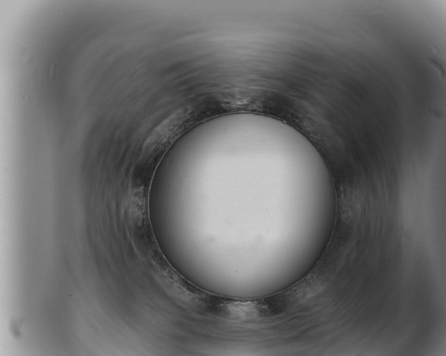 X0000103300085200809051532