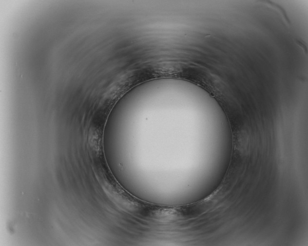 X0000103300086200809051532