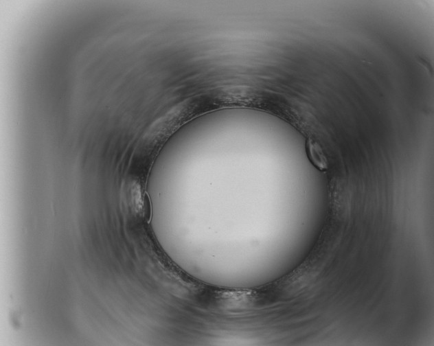 X0000103300089200809051532