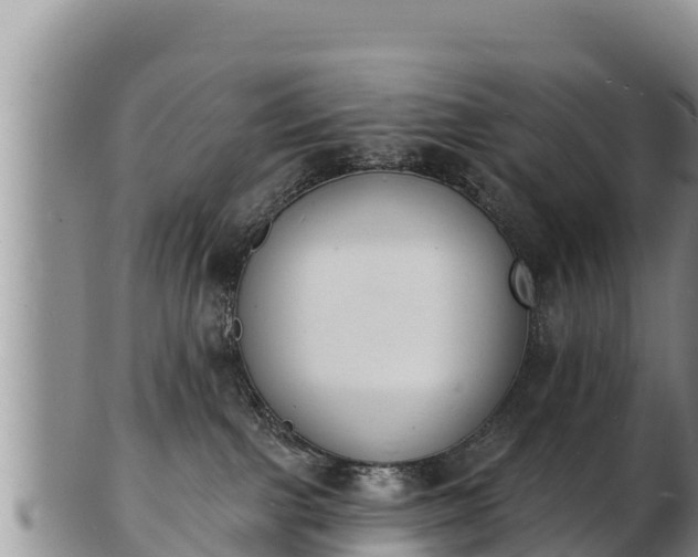 X0000103300091200809051532