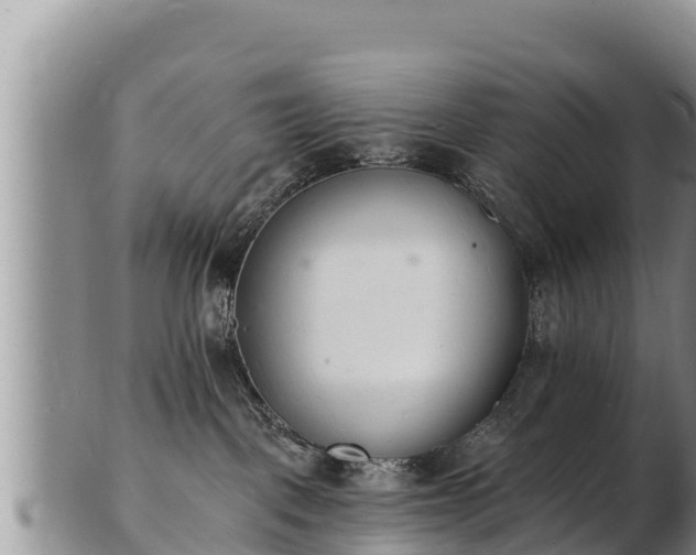 X0000103300093200809051532