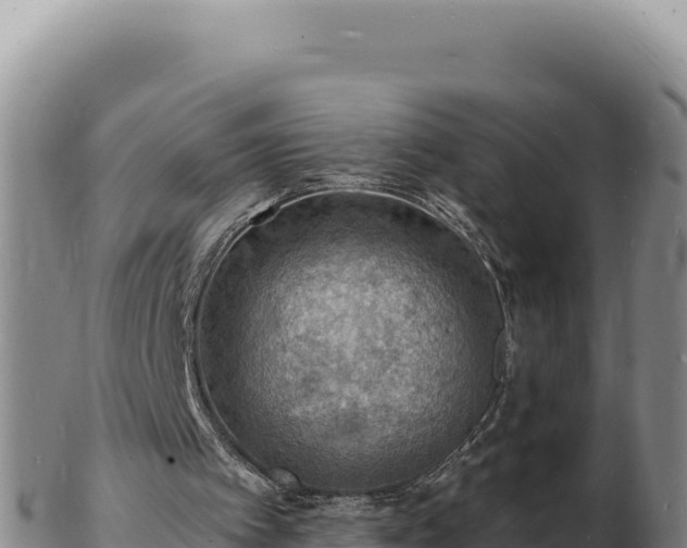 X0000103300097200809051532