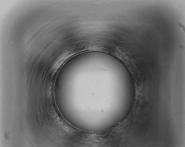 X0000103300098200809051532