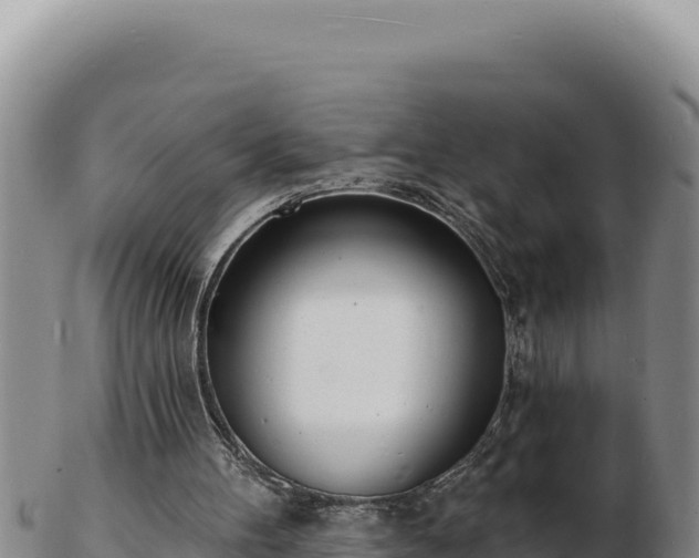 X0000103300100200809051531