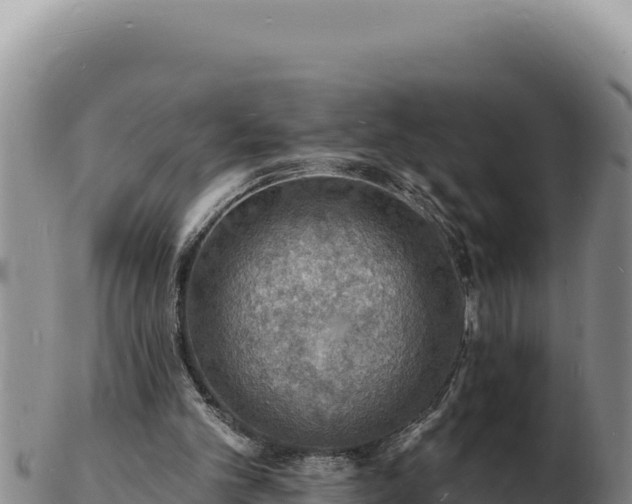 X0000103300101200809051531