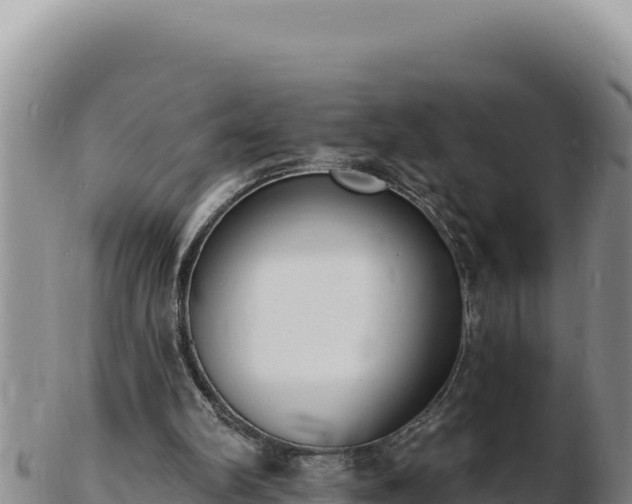 X0000103300102200809051531