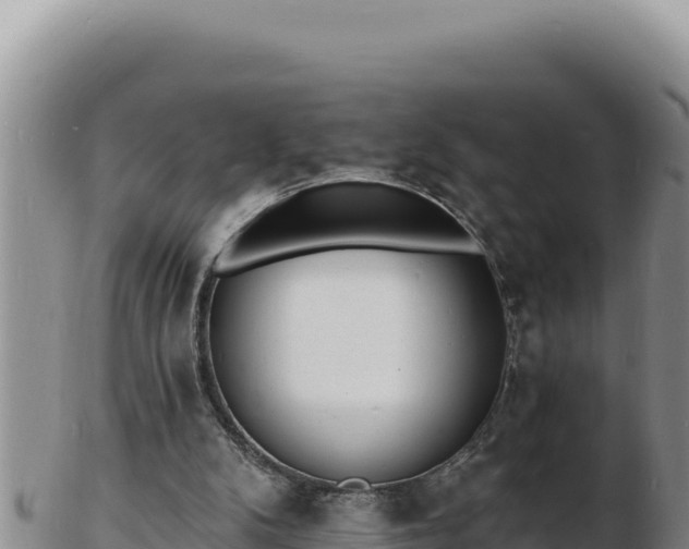 X0000103300104200809051531