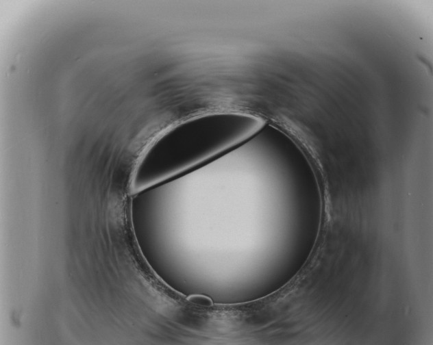 X0000103300105200809051531