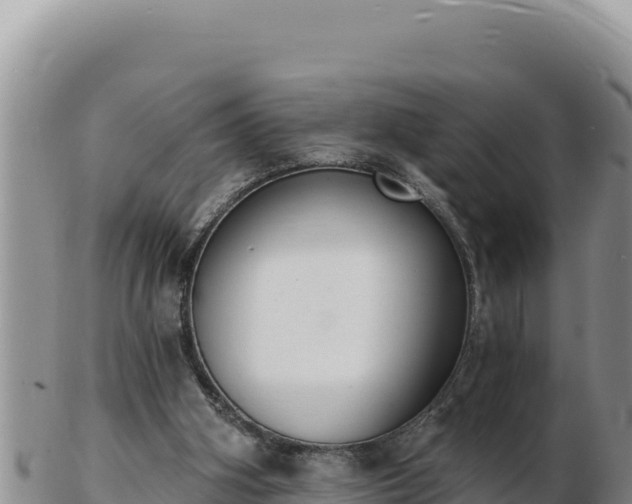 X0000103300106200809051531