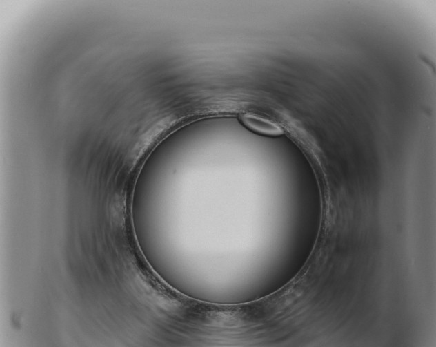 X0000103300107200809051531