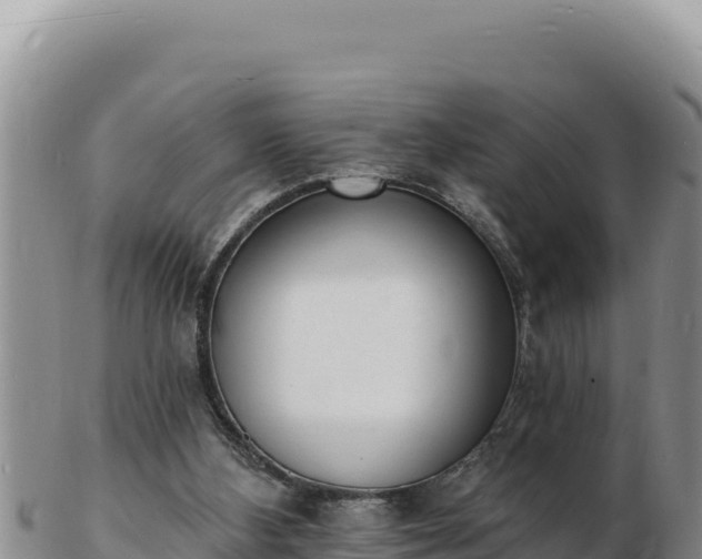 X0000103300108200809051531