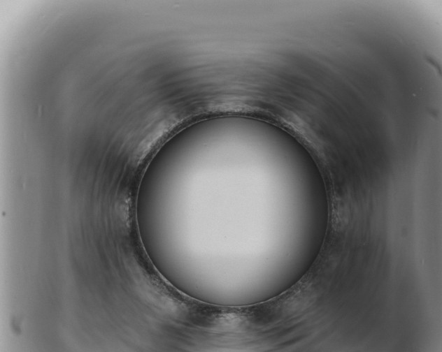 X0000103300111200809051531