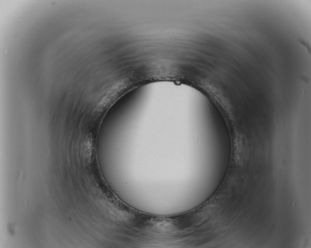 X0000103300113200809051531