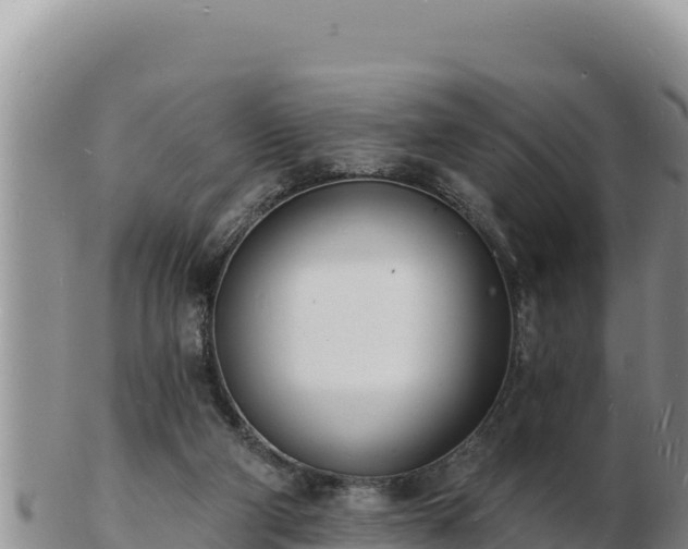 X0000103300114200809051531